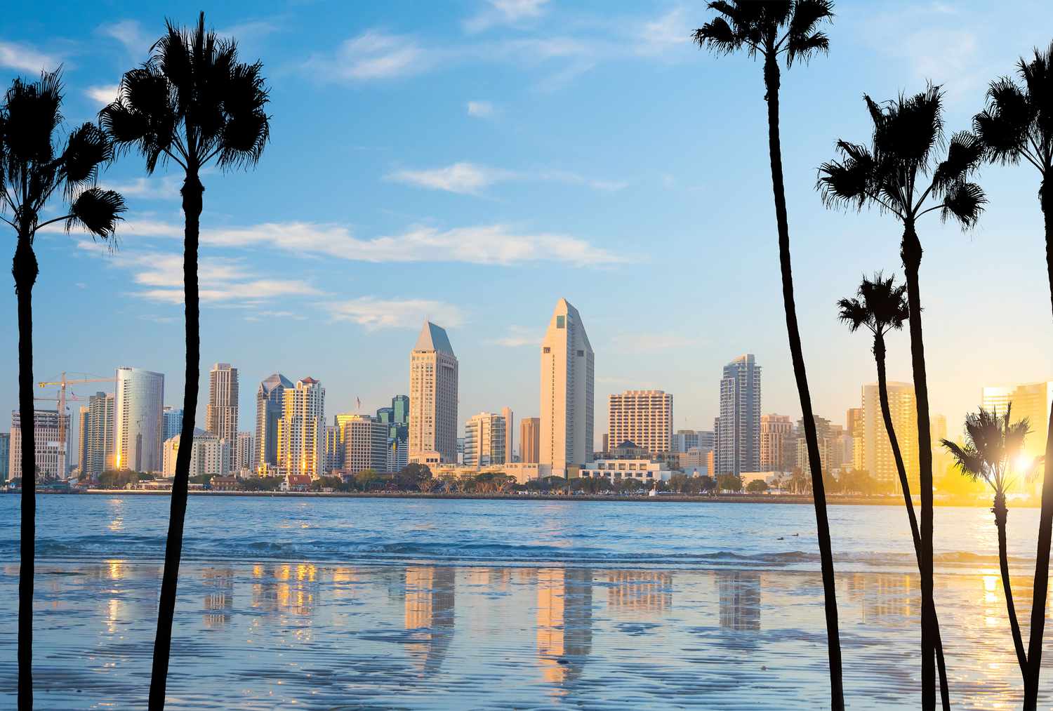 KACTUS at AACR 2024: Pioneering Cancer Research Innovations