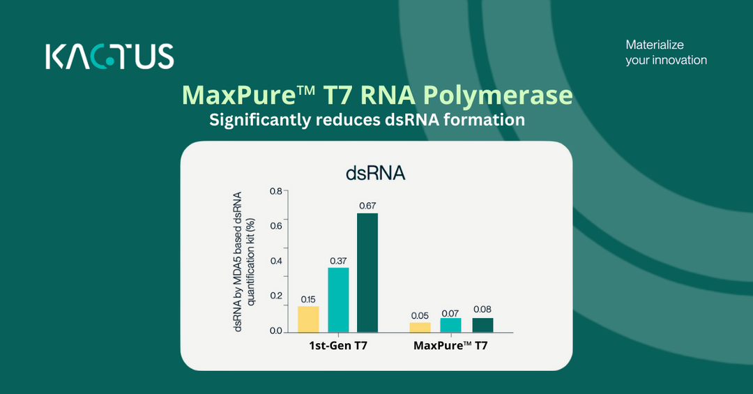 MaxPure™ T7 RNA Polymerase (GMP grade) (GMP-T7P-EE1MP)