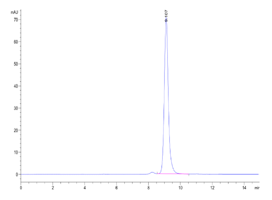 HPLC chromatogram displaying a sharp, dominant peak at retention time 9.107 minutes, indicating high purity of the Human Peptide Ready HLA-A*02:01&B2M Monomer-Protein sample.