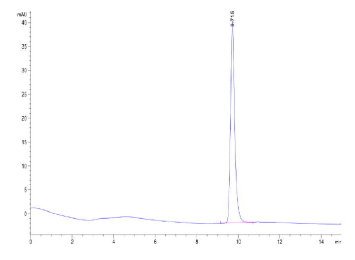 Non-biotinylated Human SKP1 Protein (SKP-HM401)