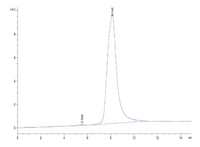 HPLC chromatogram showing a main peak at 8.142 minutes and minor shoulder at 5.538 minutes, indicating recombinant protein purity and elution profile