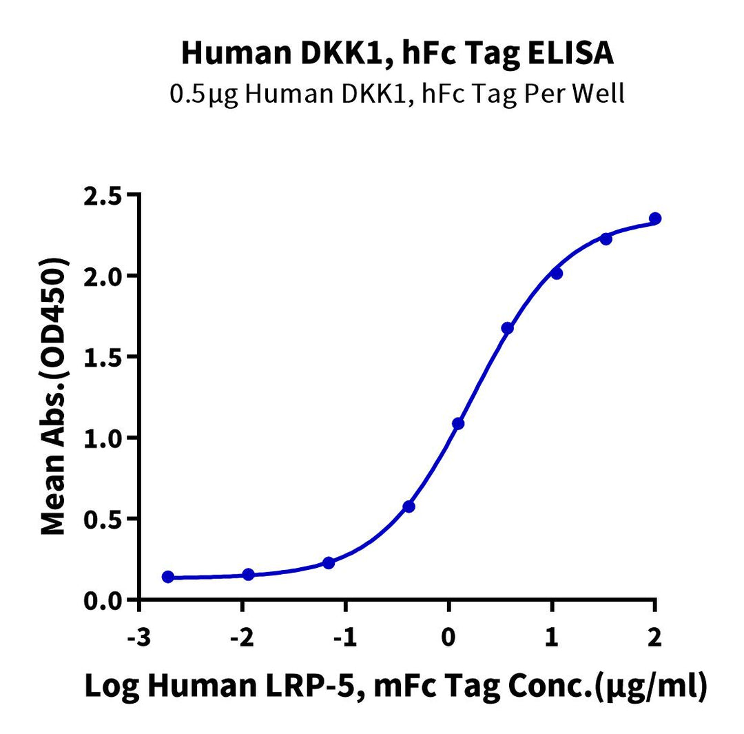 Human DKK1 Protein (DKK-HM201)