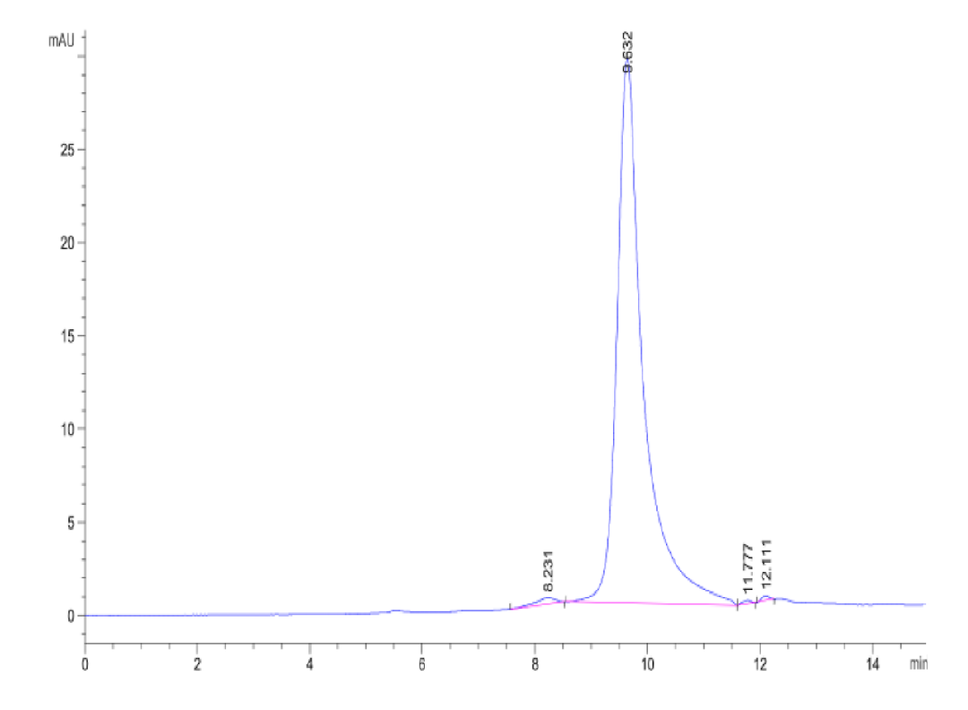 SEC-HPLC chromatogram displaying a primary protein peak at 8.6 minutes and minor peaks at 11.8 and 12.1 minutes, indicating purity and aggregate analysis.