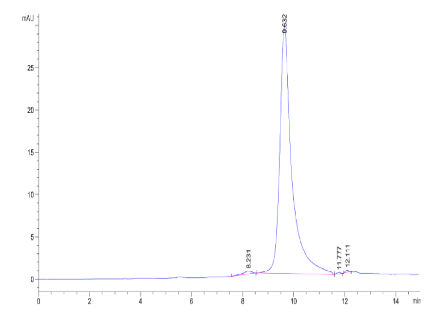 SEC-HPLC chromatogram displaying a primary protein peak at 8.6 minutes and minor peaks at 11.8 and 12.1 minutes, indicating purity and aggregate analysis.