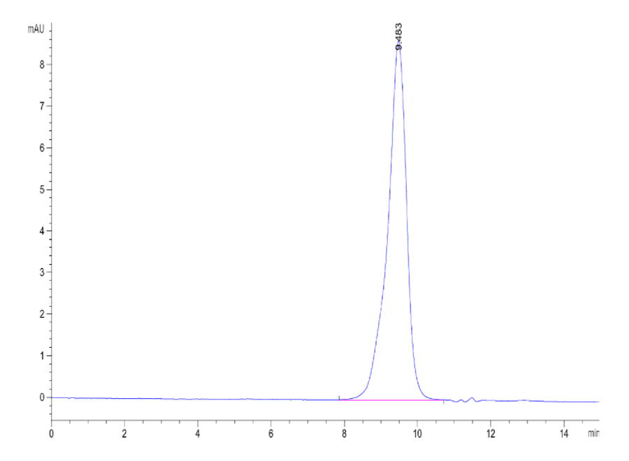 SEC-HPLC chromatogram showing a single major protein peak at 9.483 minutes, indicating high purity of the analyzed protein sample.