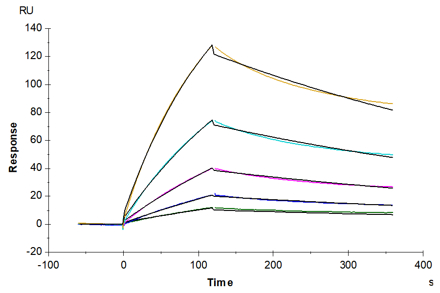 Human IL-1 alpha/IL-1A Protein (IL1-HM20A)