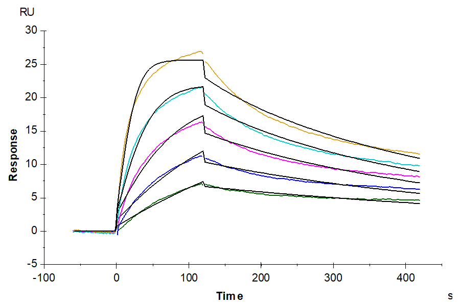 Human CCR7 Protein-Nanodisc (CCR-HM107)