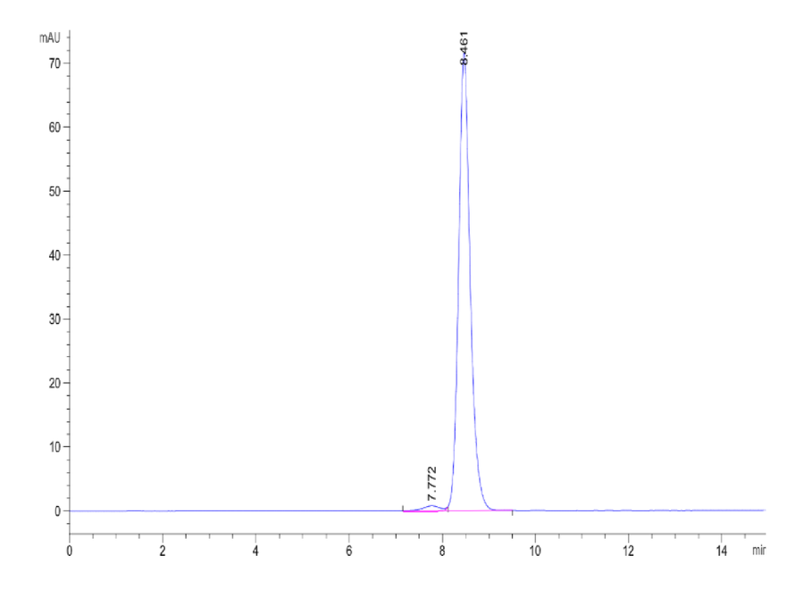 SEC-HPLC chromatogram showing a major peak at 8.5 minutes and a minor peak at 7.8 minutes, indicating a highly pure protein sample with minimal aggregation.