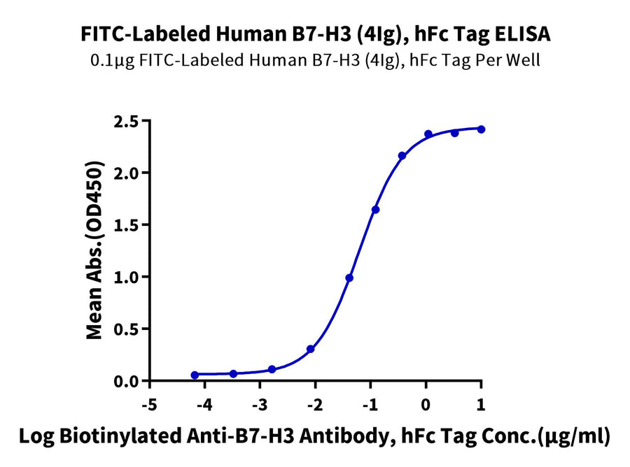 ELISA binding curve showing interaction between FITC-Labeled Human B7-H3 (4Ig), hFc Tag and biotinylated anti-B7-H3 antibody.