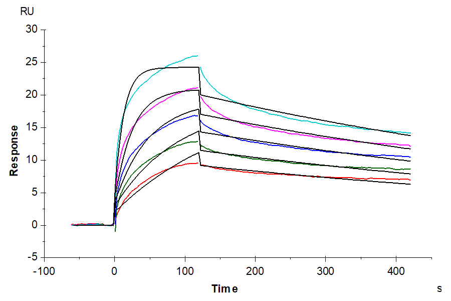 Human LGR-4 Protein-Nanodisc (LGR-HM10N)