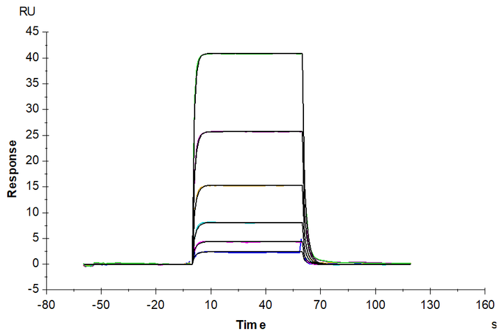 Human PD-1/PDCD1 Protein (PD1-HM101)