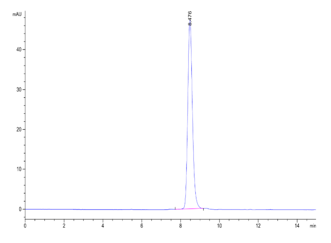 Human Latent GDF-8/Myostatin HPLC data showing high purity protein | KACTUS