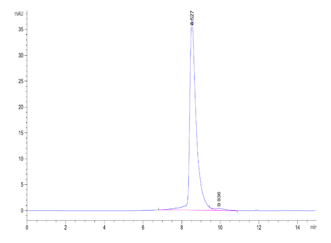 SEC-HPLC chromatogram displaying a sharp protein peak at 8.527 minutes, indicating high purity with minimal aggregation.