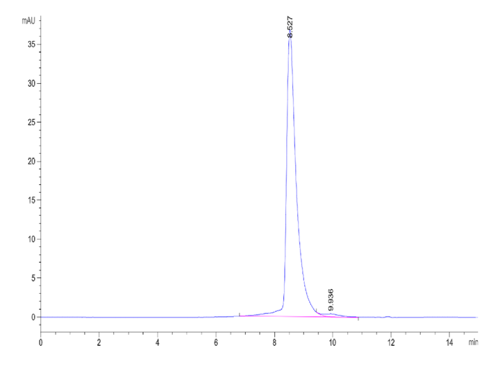 SEC-HPLC chromatogram displaying a sharp protein peak at 8.527 minutes, indicating high purity with minimal aggregation.
