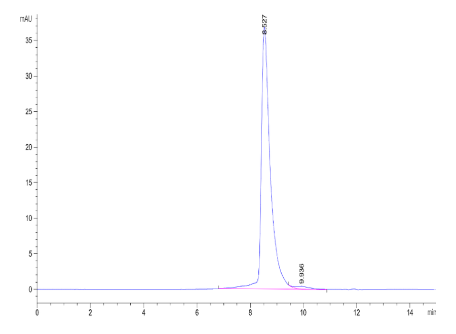 SEC-HPLC chromatogram displaying a sharp protein peak at 8.527 minutes, indicating high purity with minimal aggregation.