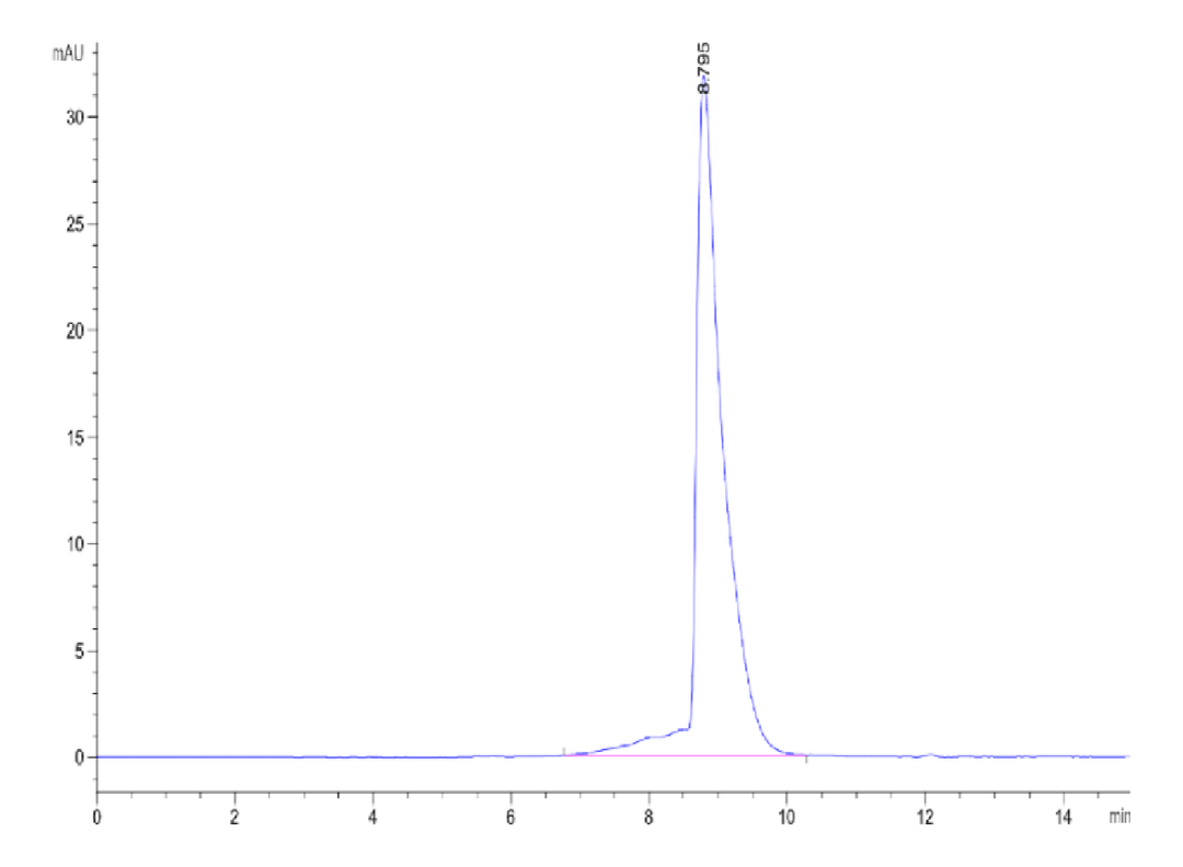 Mouse NPR1/NPRA Protein (NPR-MM101)