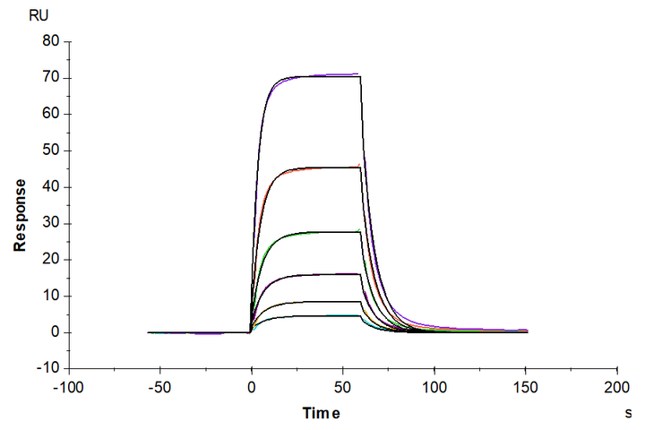 Biotinylated Mouse uPAR/PLAUR Protein (PAR-MM401B)
