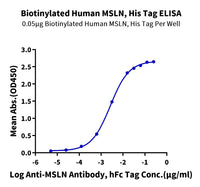 ELISA binding curve showing biotinylated human MSLN His-tag interaction with anti-MSLN antibody.