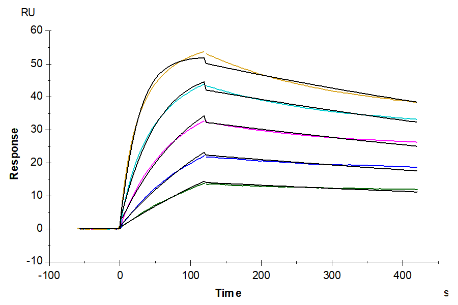 FITC-equivalent Human TM4SF1 Protein-Nanodisc (TSF-HM00N)