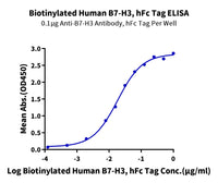 Biotinylated Human B7-H3/CD276 Protein (BH7-HM573B)