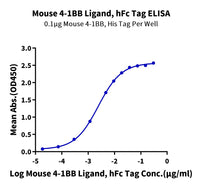 Mouse 4-1BB Ligand/TNFSF9 Protein (BBL-MM241)