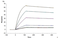 Biotinylated Human CD19 Protein (CD1-HMR102)