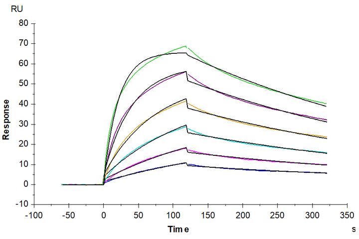 Non-biotinylated Human IL-5 R alpha/CD125 Protein (ILR-HM45R)