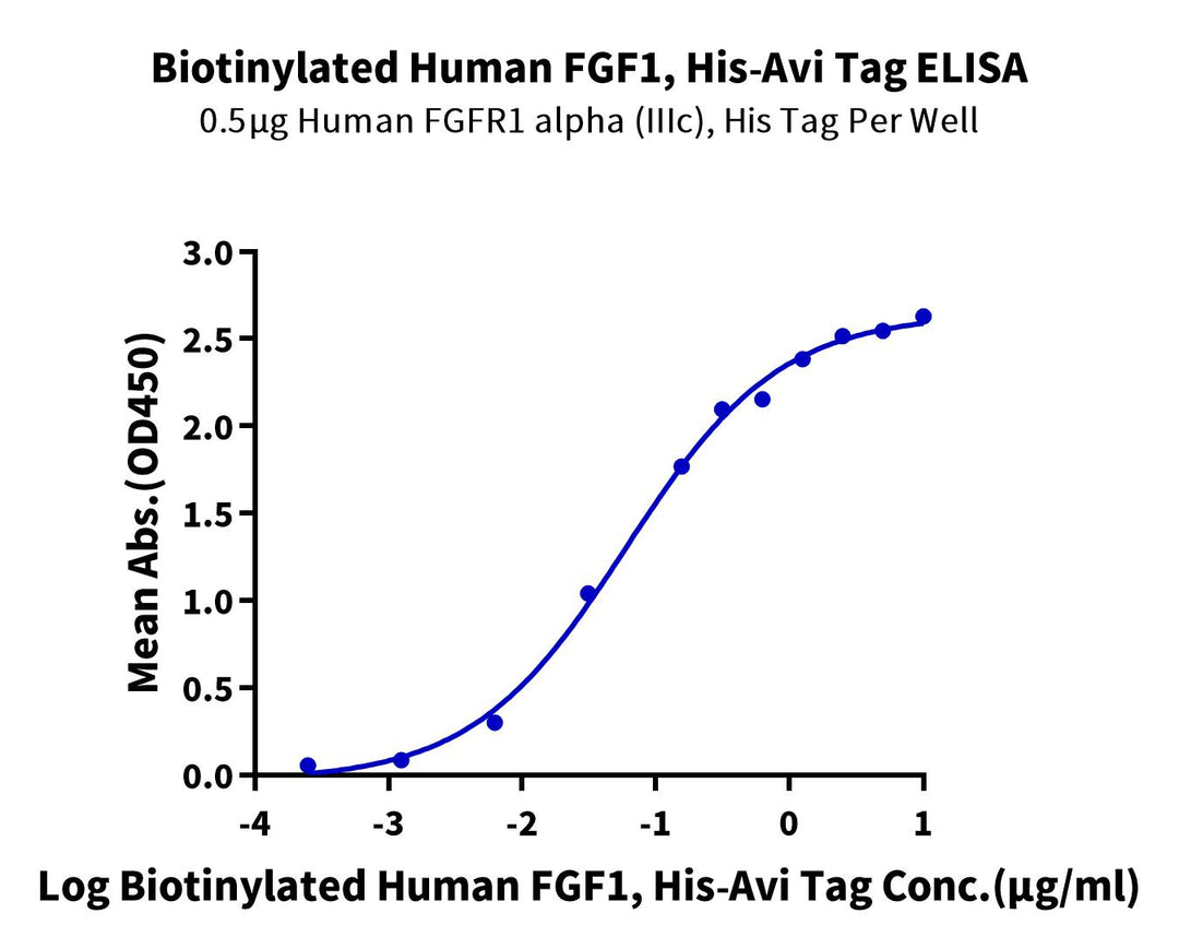 Biotinylated Human FGF1 Protein (FGF-HE40AB)