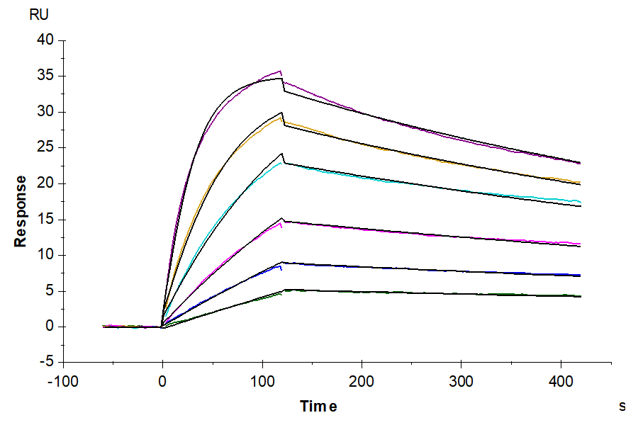 Biotinylated Human Claudin 4 Protein-Nanodisc (CLD-HM14NB)