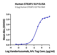 Human STEAP1 VLP (STP-HM01V)