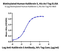 Biotinylated Human Kallikrein 5/KLK5 Protein (active form) (KLK-HM405B)
