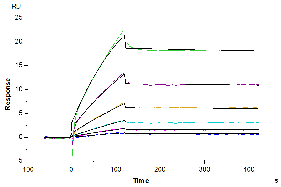 Biotinylated Human Cystine/glutamate transporter (SLC7A11) Nanodisc (XCT-HM10NB)