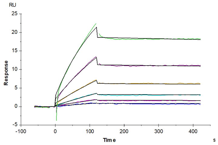 Biotinylated Human Cystine/glutamate transporter (SLC7A11) Nanodisc (XCT-HM10NB)