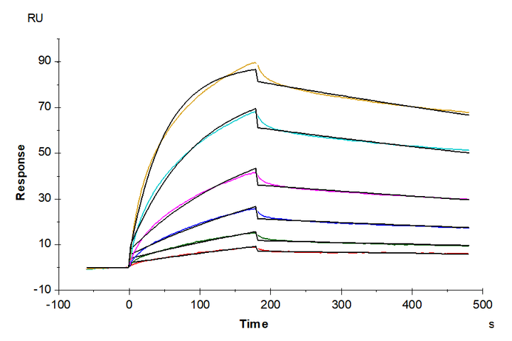 Human Claudin 18.2 VLP (CLD-HE1822)