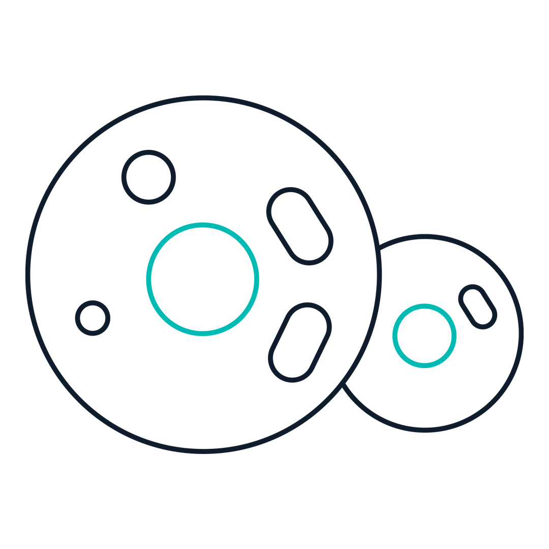 Mammalian Express System Icon
