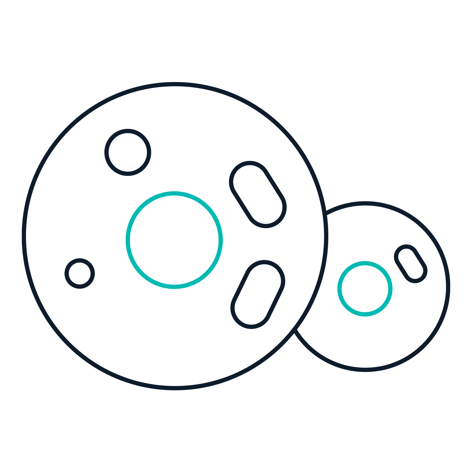 Mammalian Express System Icon