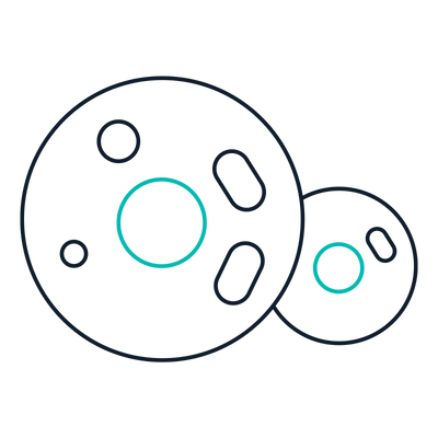 Mammalian Express System Icon