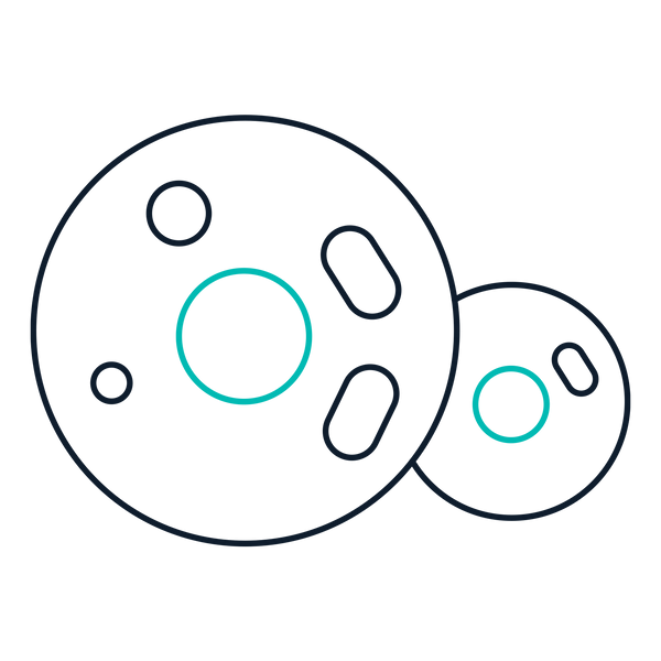 Mammalian Express System Icon