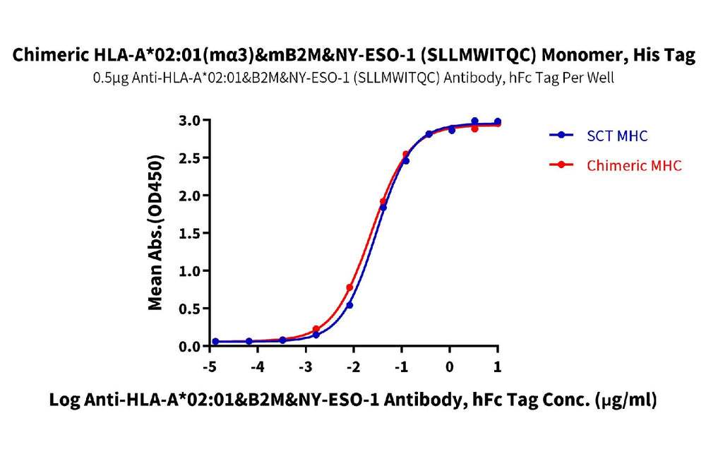 ELISA binding curve for chimeric HLA-A02:01 (mα3)&mB2M&NY-ESO-1 (SLLMWITQC) monomer with His tag, showing interaction with anti-HLA-A02:01&B2M&NY-ESO-1 antibody. Graph plots absorbance (OD450) vs. antibody concentration, comparing SCT MHC and chimeric MHC binding.