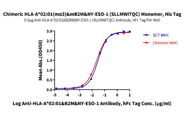 ELISA binding curve for chimeric HLA-A02:01 (mα3)&mB2M&NY-ESO-1 (SLLMWITQC) monomer with His tag, showing interaction with anti-HLA-A02:01&B2M&NY-ESO-1 antibody. Graph plots absorbance (OD450) vs. antibody concentration, comparing SCT MHC and chimeric MHC binding.
