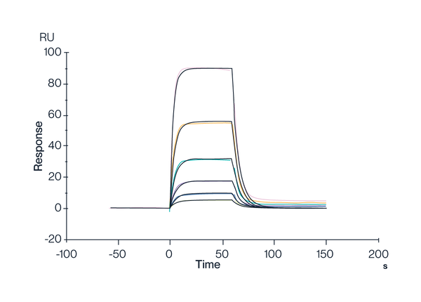 MHC SPR Data on HLA-A*02:01 Monomer & FMNKFIYEI