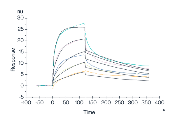 SPR data of KACTUS GPRC5D copolymer nanodisc verified bioactivity performance of full length membrane protein nanodisc