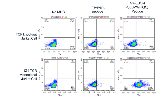 Flow cytometry (FACS) analysis of PE-labeled preformed MHC tetramers, showing TCR binding specificity with NY-ESO-1 (SLLMWITQC) peptide across different conditions."