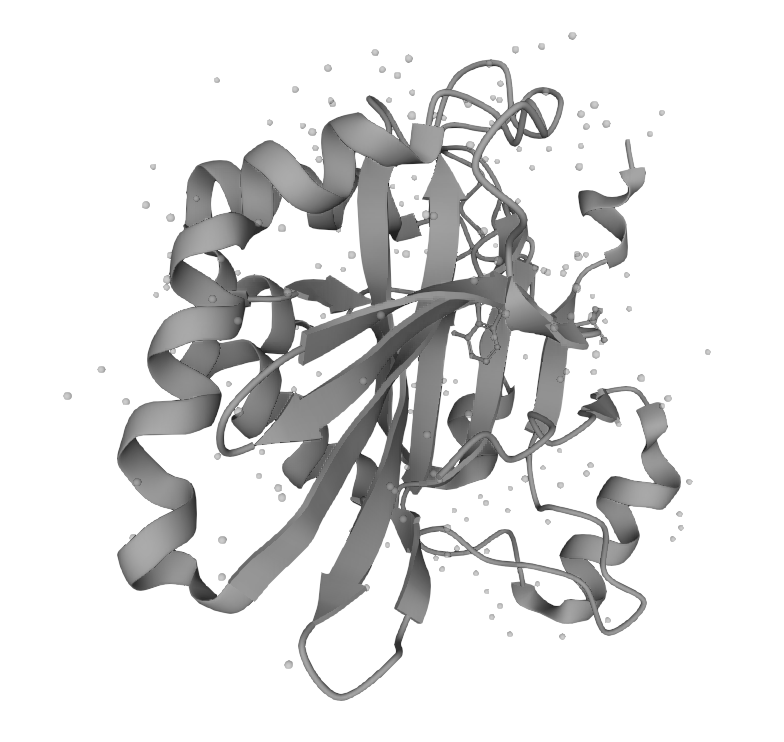 T4 RNA Ligase II (TRL-BE103)