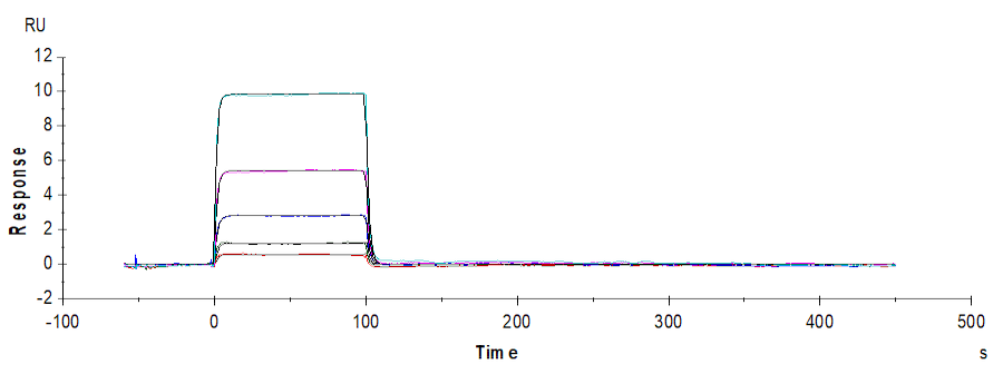 SPR sensorgram illustrating real-time binding kinetics of TIGIT interaction at multiple analyte concentrations, showing rapid association and dissociation phases.