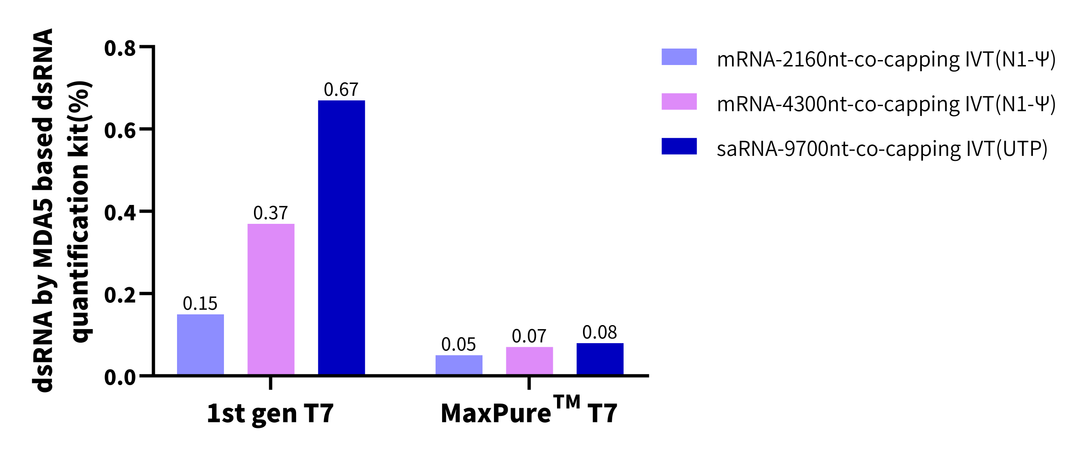 MaxPure™ T7 RNA Polymerase (T7P-EE1MP)