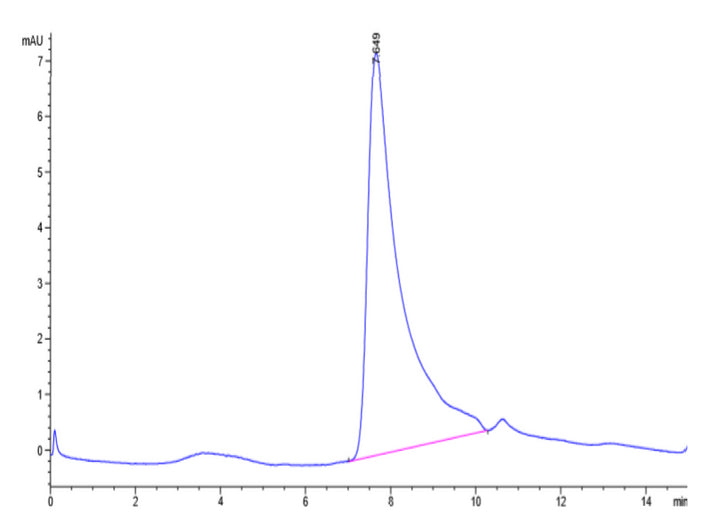 Size-exclusion chromatography (SEC) analysis of recombinant human calprotectin (S100A8/S100A9) protein, showing a primary peak at ~8.65 minutes with minor impurities, indicating protein purity and aggregation status.