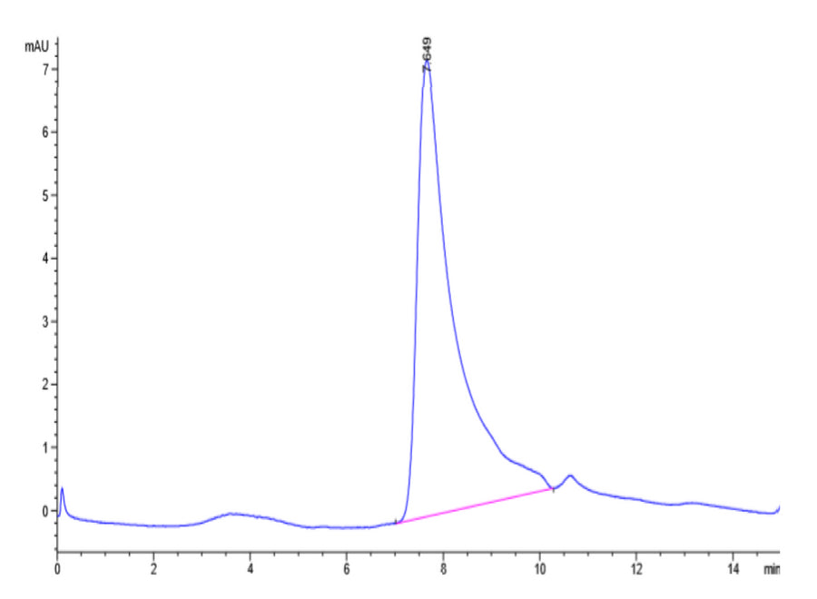 Size-exclusion chromatography (SEC) analysis of recombinant human calprotectin (S100A8/S100A9) protein, showing a primary peak at ~8.65 minutes with minor impurities, indicating protein purity and aggregation status.