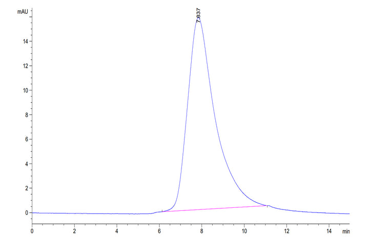 SEC-HPLC chromatogram for protein sample with main peak at 7.837 min, demonstrating molecular size homogeneity and purity.