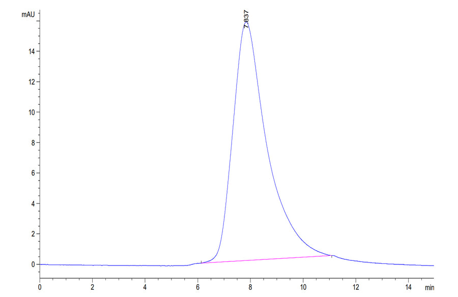 SEC-HPLC chromatogram for protein sample with main peak at 7.837 min, demonstrating molecular size homogeneity and purity.